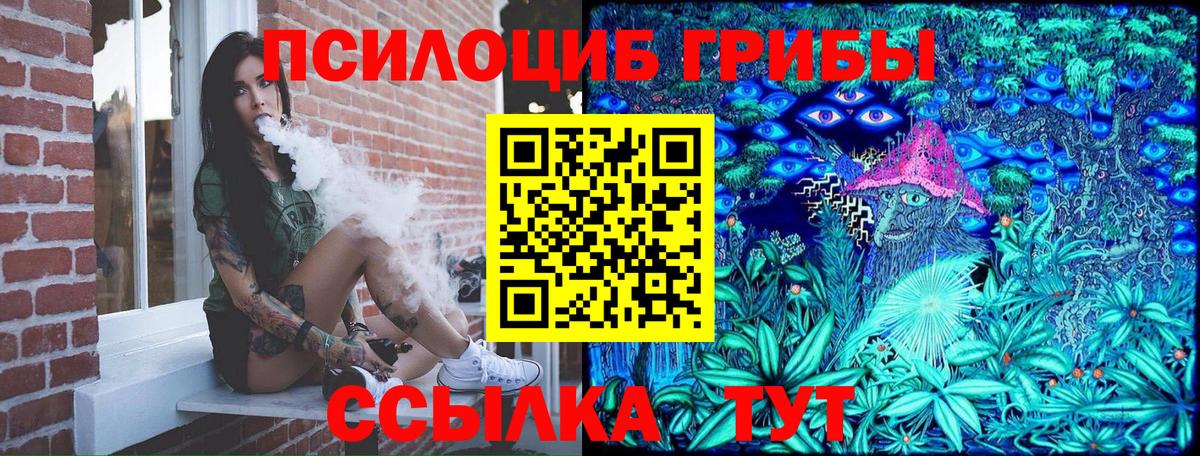 Псилоцибиновые грибы Magic Shrooms Елец