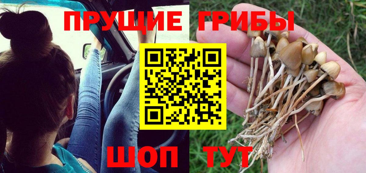 Галлюциногенные грибы Magic Shrooms  Псилоцибиновые грибы MAGIC MUSHROOMS  Вход с VPN  Елец 
